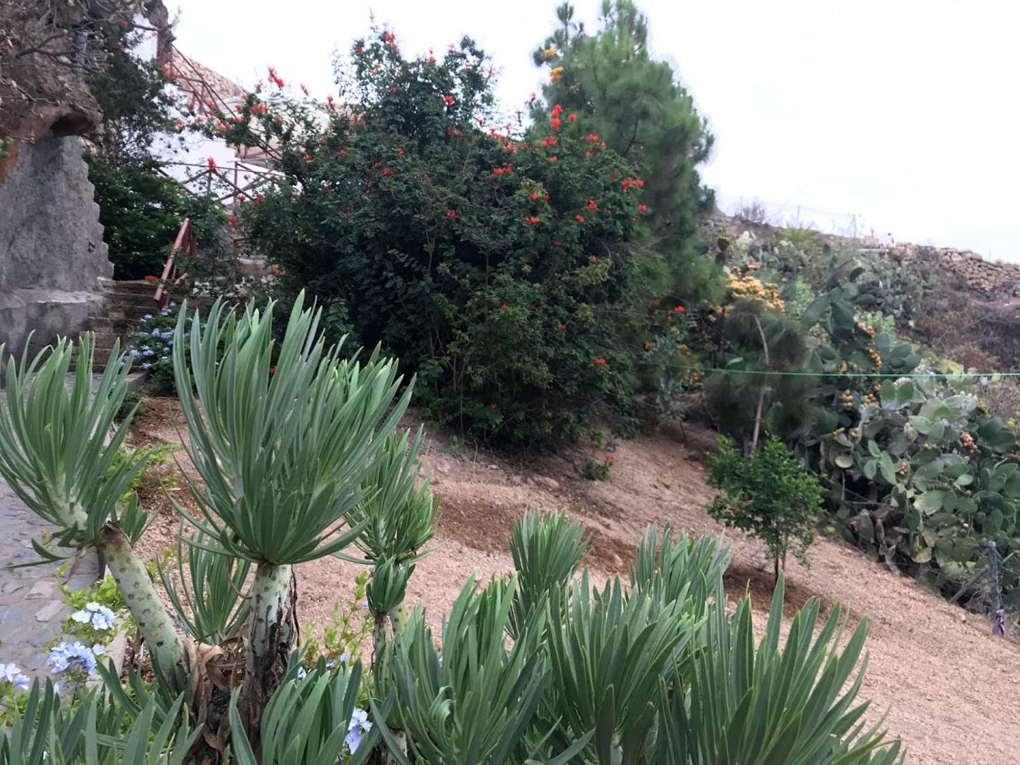 Finca Las Polinarias Casa Cueva En Fasnia Santa Cruz de Tenerife Exterior photo